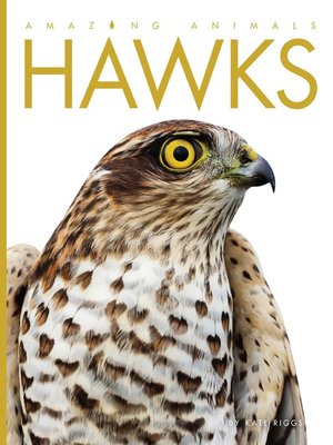 cover image of Hawks